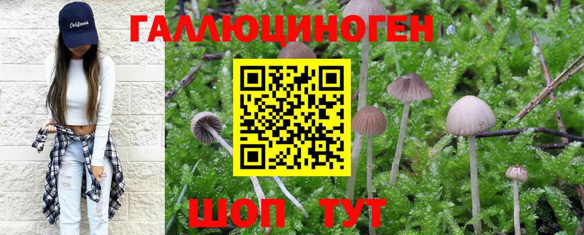 Галлюциногенные грибы Psilocybe  Псилоцибиновые грибы Cubensis  Вход с VPN  Петрозаводск 